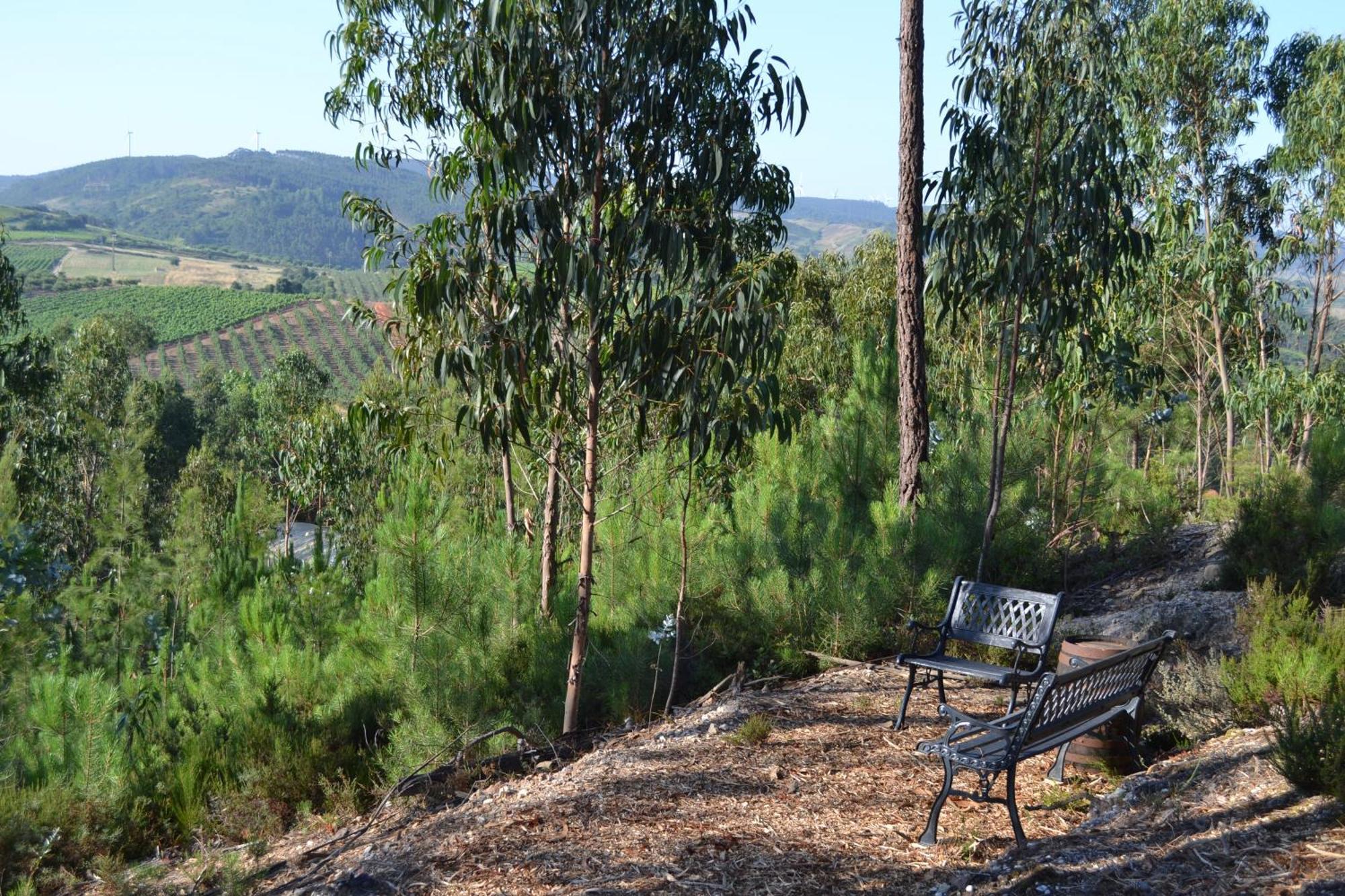 Mountview Villa Alenquer Eksteriør bilde